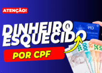 Como Consultar Dinheiro Esquecido Através do CPF